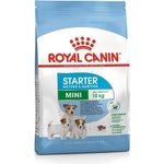 Royal Canin Mini Starter - за кучета от дребни породи до 10месеца, за бременни и кърмещи кучета 8кг