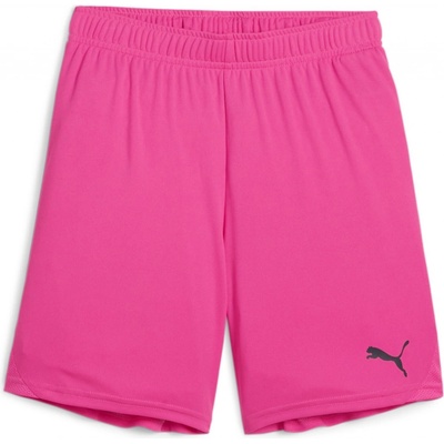 Puma teamGOAL Shorts Jr 705753-25