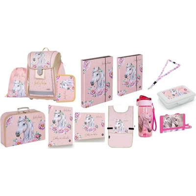 OXYBAG sada 13 dílný set PREMIUM kůň