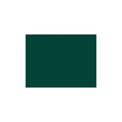 Rosco 327 Forest green
