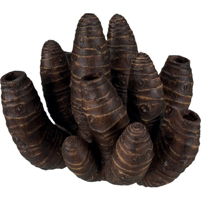 Trixie kořen Aloe Vera 29 cm