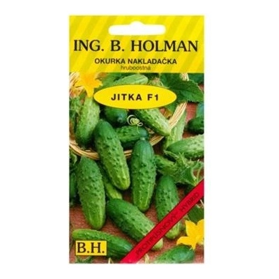 HOLMAN Okurka nakladačka hruboostná Jitka F1 2.5 g B.H.