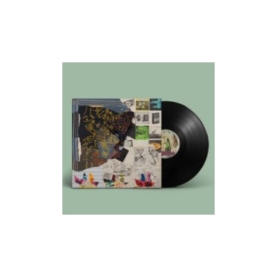 Time Skiffs - Animal Collective LP