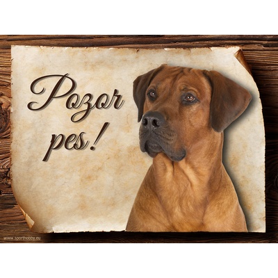 Sport hobby Cedulka Rhodéský ridgeback II Pozor pes CP540 15 x 11 cm