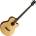 Cort AB850F
