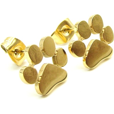 Steel Jewelry Náušnice TLAPKY z Chirurgické oceli GOLD NS250184