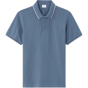 Celio letaim modré