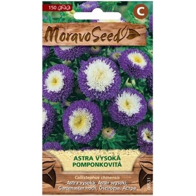Nohel Garden Astra čínska vysoká pomponkovitá, modro-biela 00531