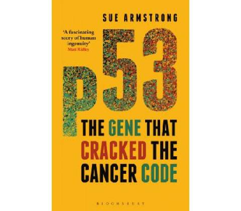 Sue Armstrong - p53