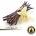 Inawera Концентрат за база Inawera с аромaт Vanilla 10ml