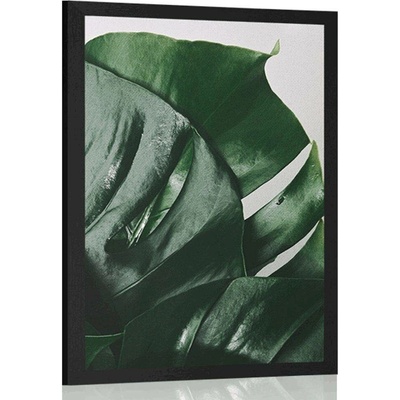 Plakát listy monstery - 20x30 white