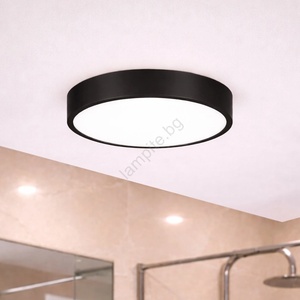Brilagi - led таванно осветително тяло за баня pool led/24w/230v Ø 30 см ip54 черно (bg3887)
