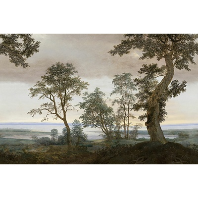 Eijffinger 351290 Vliesová tapeta na zeď Magnifique, rozměry 3 x 2,8 m