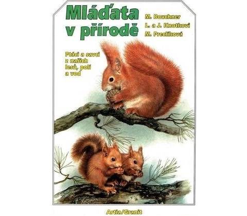 Mláďata v přírodě
