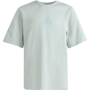 Adidas Детска тениска adidas Kid's Z. N. E Tee T-shirt - Wonder Sage / Tactile Green - размер 176 (EU) (704-6103-0415)