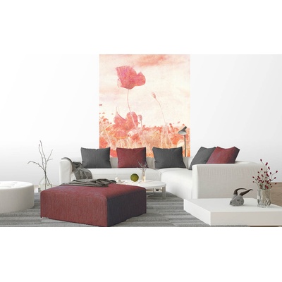 DIMEX ART Флизелинов фототапет абстрактни макове 150 x 250 см