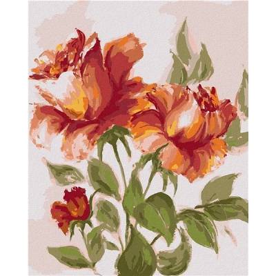 zuty Malování Podle Čísel Červenooranžové Růže 40 x 50 Cm Plátno Rám