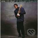 Robert Cray - Strong Persuader LP