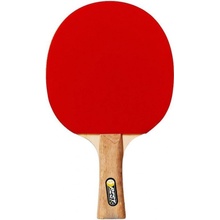 Best Sporting Hobby