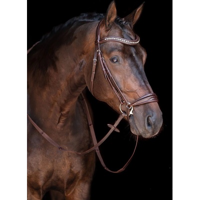 HKM Kožená uzdečka Carolin hnědá – Zboží Mobilmania