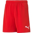 Puma teamRISE short jr 704943
