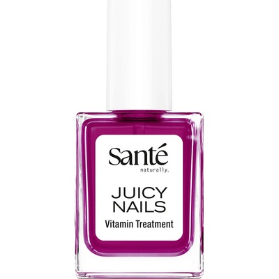 Santé naturally Vitamínový lak na nechty Juicy Nails Odtieň: 01 Plum Glaze