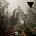 Ladytron - Paradises (Gatefold Sleeve) (2 LP) (0067003180818)
