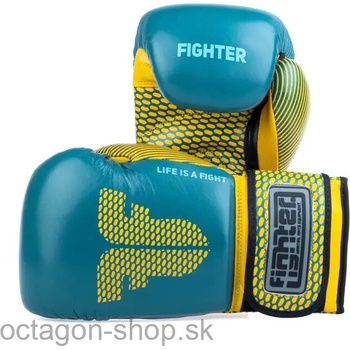 Fighter TRAINING