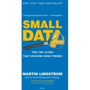 SMALL DATA | Martin Lindstrom (ISBN: 9781250118011)