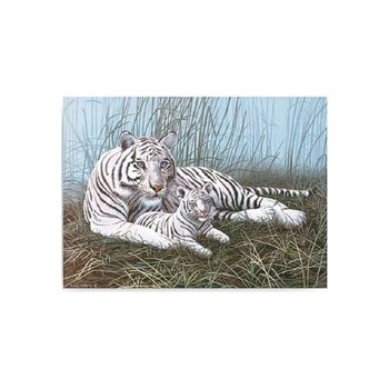 Malování podle čísel Bílý tygr s mládětem