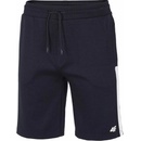 4F H4L21-SKMD010 DARK BLUE