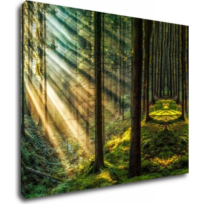 Impresi Obraz Slnečné lúče v lese - 90 x 70 cm