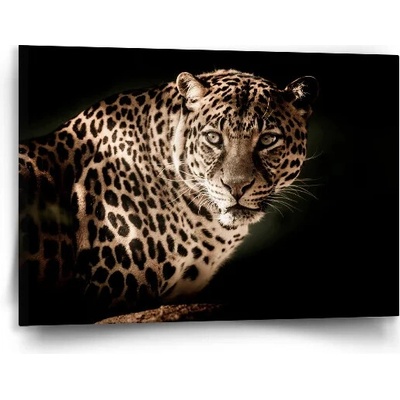 Sablio Obraz Leopard - 90x60 cm