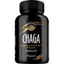 Royal Chaga 90 ks