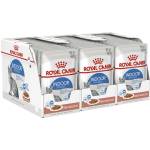 Royal Canin Indoor Sterilised In Gravy Пакет 36 x 85 г