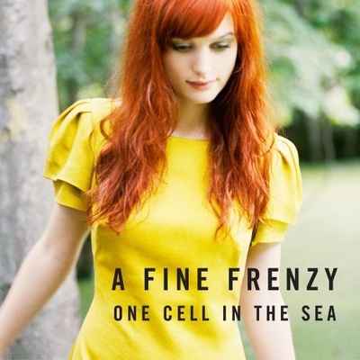 FINE FRENZY: ONE CELL IN THE SEA, CD