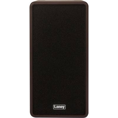 Laney A-DUO