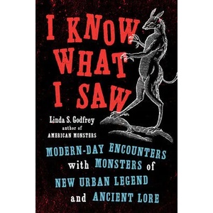 I Know What I Saw (ISBN: 9780143132813)