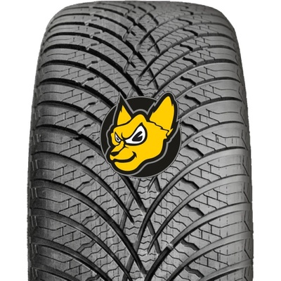 DoubleStar DLA01 205/55 R17 95V
