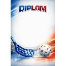 diplom 74