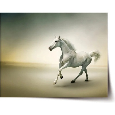 Sablio Plagát Biely kôň 2 - 60x40 cm
