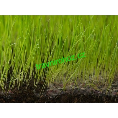 Travní rohož s osivem EkoGrass Synthetic - 50m x 2,1m