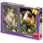 Dino - Puzzle 2x48 Rabbit and guinea pig - 40 - 99 piese