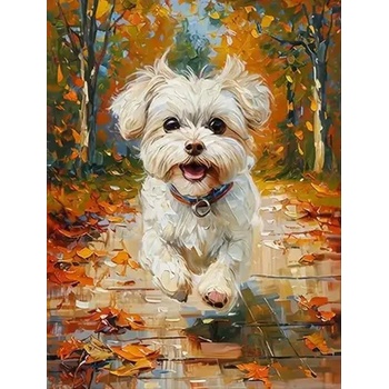 Norimpex - Puzzle Diamant painting: Maltese dog 30x40cm - 1 - 39 piese
