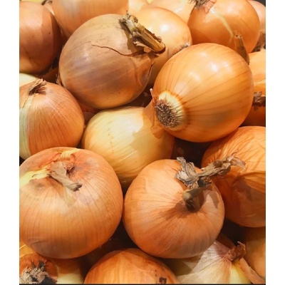 Cibule šalotka - Golden Gourmet 7/14, 5 kg