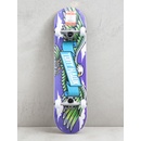Tony Hawk Wingspan