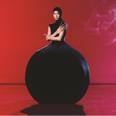 Hold the Girl - Rina Sawayama LP