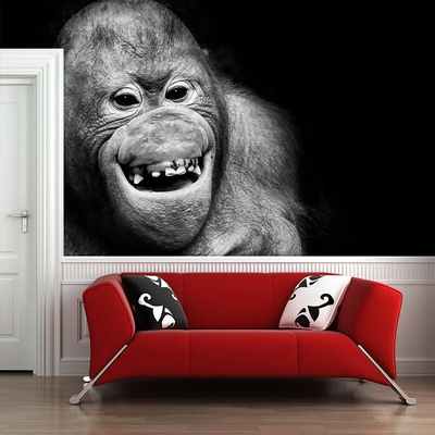 Sablio Tapeta Orangutan, rozmery 336x220 cm