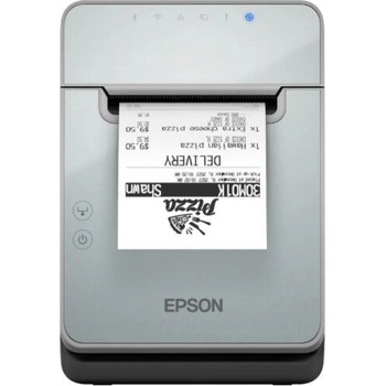 Image 1 of Epson TML100 (C31CJ52101)