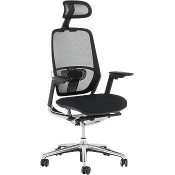 Bittel Ергономичен стол vaud - черен